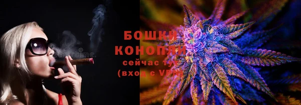 индика Арсеньев