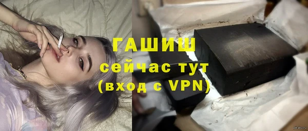 индика Арсеньев