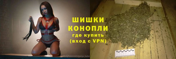 хмурый Аркадак