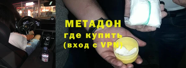хмурый Аркадак