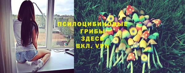 скорость Дмитровск
