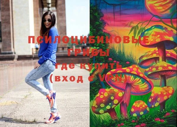 метадон Армянск