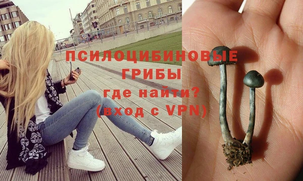 spice Баксан