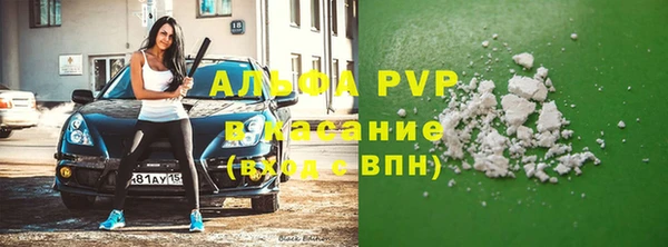 индика Арсеньев