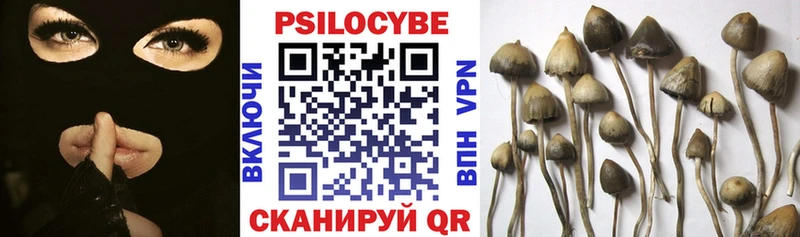 Галлюциногенные грибы GOLDEN TEACHER Коломна
